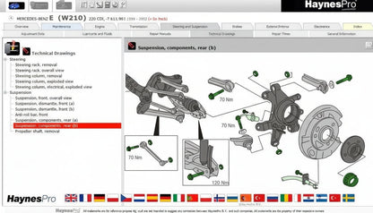 Hayanes Pro (schematy graficzne) wszystkie języki DOSTĘP 12 miesięcy